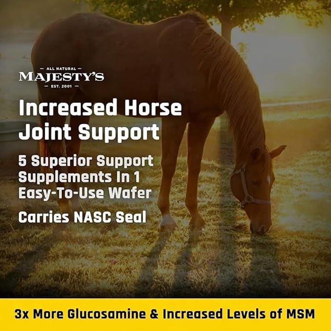 Majesty's Flex XT Wafers - Superior Horse/Equine Joint Support with Increased Supplement Levels - Glucosamine, MSM, Yucca, Vitamin C (Regular, 2 Pack (120 Count Total))