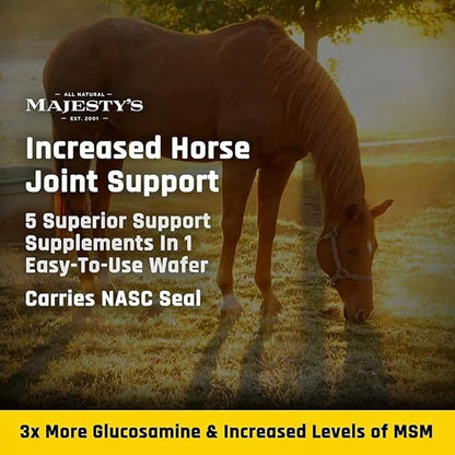 Majesty's Flex XT Wafers - Superior Horse / Equine Joint Support With Increased Supplement Levels - Glucosamine, MSM, Yucca, Vitamin C - 60 Count (2 Month Supply)