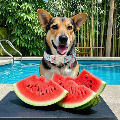 Lionet Paws Summer Dog Collar- Cute Watermelon Light Blue Dog Collars with Plastic Buckle and Watermelon Pendant, Light Adjustable Dog Collars for Small Medium Dogs
