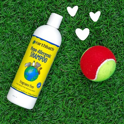earthbath Hypoallergenic Dog Shampoo, Made in USA, 16 Oz (1 Pack)