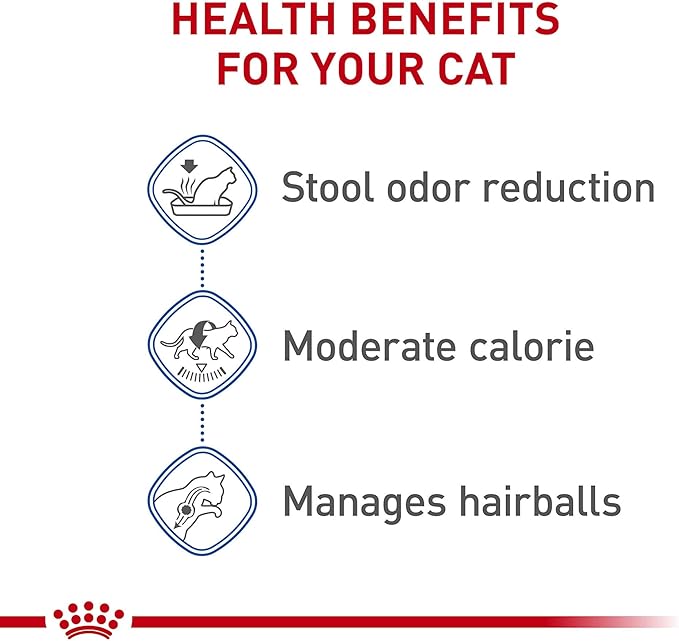 Royal Canin Feline Health Nutrition Indoor Adult Dry Cat Food, 3 lb Bag