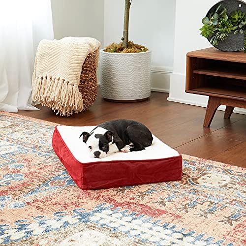 Happy Hounds Oscar Rectangle Orthopedic Foam Sherpa Dog Bed, Extra Small (24 x 18 in.), Red
