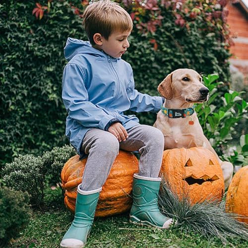 Fall Dog Collar-Pumpkin Print Adjustable Pet Collar Comfortable Puppy Collars Cotton Lightweight Quick-Release Buckle Collars for Large Dogs