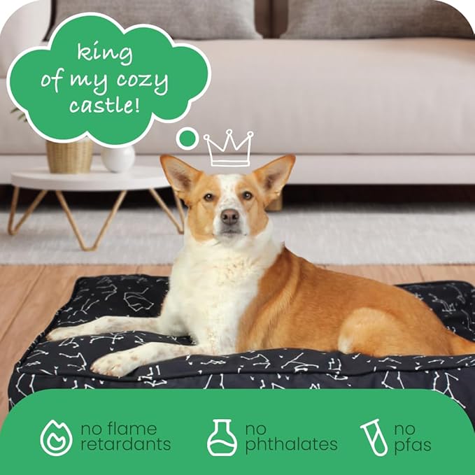Molly Mutt Huge Dog Bed Cover - Rocketman Print - Measures 36”x45”x5’’ - 100% Cotton - Durable - Breathable - Sustainable - Machine Washable Dog Bed Cover