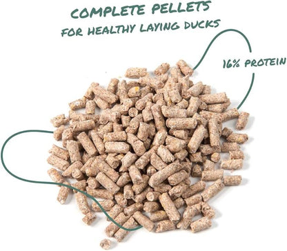 Manna Pro Duck Layer Pellet | High Protein for Increased Egg Production | Formulated with Probiotics to Support Healthy Digestion | 25 Pounds