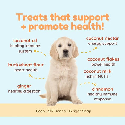 CocoTherapy Ginger Coco-Milk Bones 3 Pack, 6 Ounces Each, USDA Organic