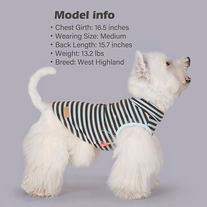 KYEESE 2Pack Dog Sweater Turtleneck Small Pets Sweaters Warm Pet Coats Soft Pets Clothes Pullover Pets Sweatshirt Dog Sweaters for Small Dogs Male Stretchy Dogs Clothes