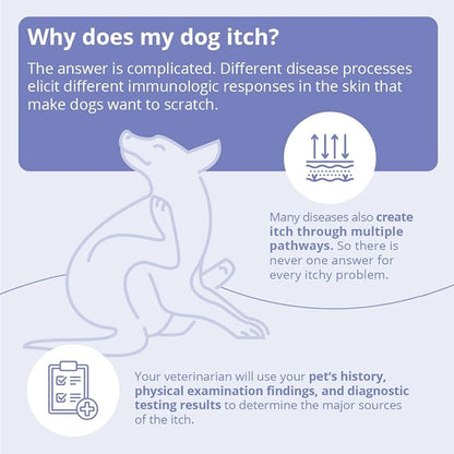 MiconaHex+Triz Shampoo for Dogs, Cats and Horses, 16 oz, Unscented