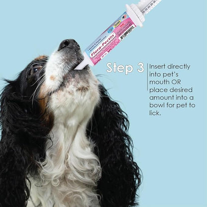 Oral Paste for Dogs & Cats – Fast Diarrhea Relief & Firm Stool Support, Helps Upset Stomach, Reduces Occasional Loose Stool, Balances Gut pH & Supports Normal Digestion (30 CC, Tasty Chicken Flavor)
