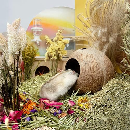 andwe Coconut Hut Hamster House Bed Natural Gerbils Hideout