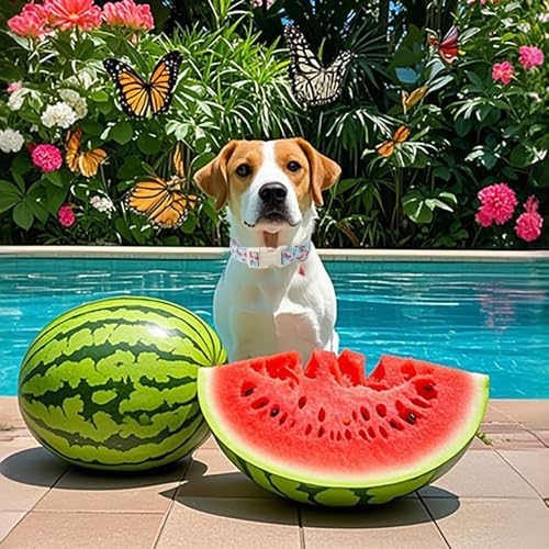 Lionet Paws Summer Dog Collar- Cute Watermelon Light Blue Dog Collars with Plastic Buckle and Watermelon Pendant,Light Adjustable Dog Collars for Small Dogs