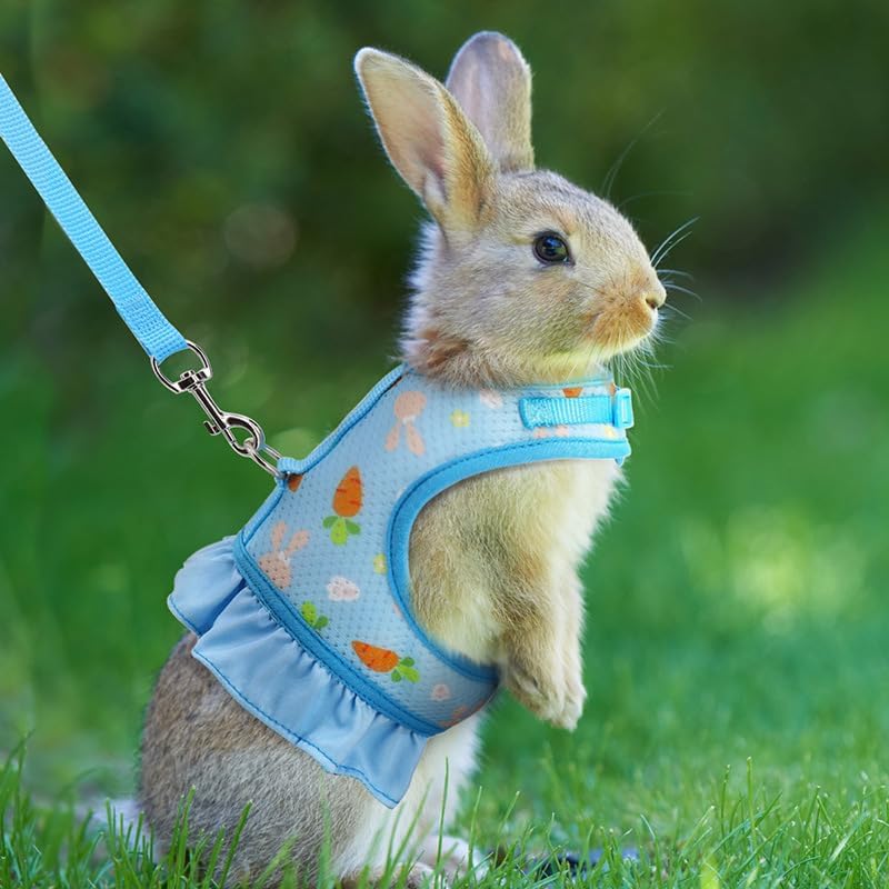 Rabbit Leash and Harness Set,Proof Walking Escape Cute Floral Mesh Vest Breathable Rabbit Clothes for Bunnies Hiking, Training for Ferret Kitten Puppy Small Pet Harness Blue M