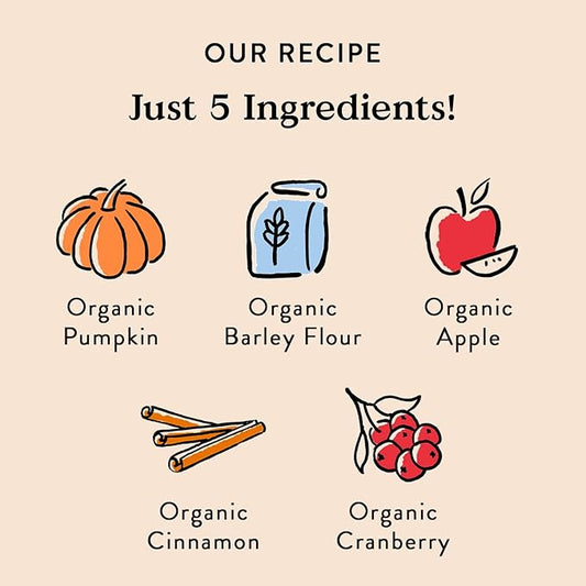 Bocce's Bakery Natural, Small Batch, Organic Dog Treats, Pumpk'n Harvest Biscuits, Wheat-Free, Limited-Ingredient, Made in The USA with 100% Recyclable Packaging, 12 oz Bag