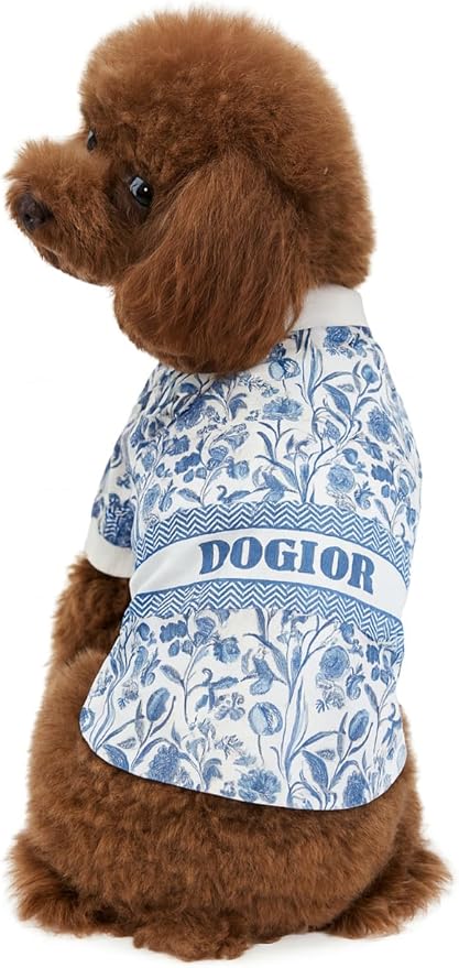 Luxury Designer Dog T Shirt – Trendy Puppy Clothes for Small Dogs, Fashion Pet Tee for French Bulldogs & Chihuahuas, Everything Chic Dog Apparel