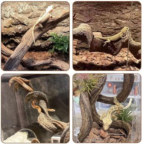 BNOSDM 2PCS Natural Reptile Climbing Branches Decor,1.3-1.8" Thick Natural Snake Climbing Forest Wood with Plant Leaf Decor,Lizard Forest Branch,Geckos Tank Tree Trunk Accessories for Bearded Dragons