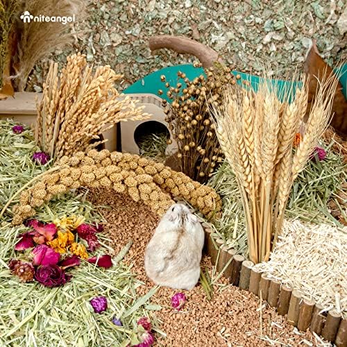 Niteangel Natural & Soft Hamster Bedding Mate: Air-Dried Flowers & No-Add