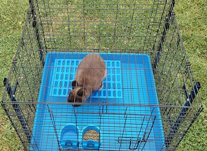 Saguaro Acres Rabbit and Small Animal Cage Resting Mat for Wire Floored Cages 2 Pack (Blue & Pink)