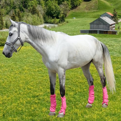 Horse Fly Boots, Mesh Fly Boots for Horse Set of 4, Equine Leg Protection