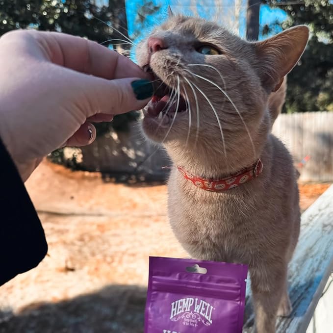 Hemp Well Cat Hairball Soft Chews for Cats, Organic USA Grown, Chicken Cheese & Catnip Flavor!