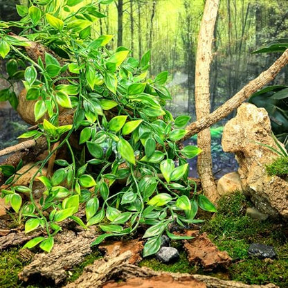 HERCOCCI Reptile Plants, 4 Pack Terrarium Hanging Plants Vines Artificial Leaves Habitat Decorations with Suction Cup for Bearded Dragon Hermit Crab Lizard Snake Geckos Chameleon