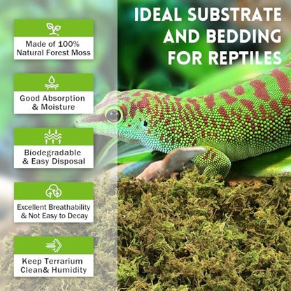 Riare 3.5oz Natural Sphagnum Moss for Reptiles, Terrarium Substrate Bedding