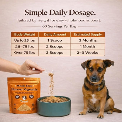 Natural Dog Company Pumpkin Digestive Support Granules Dog Food Topper - Fiber-Rich, Nutrient-Dense Superfood Blend for Gut Health, Holistic Care, Prebiotics
