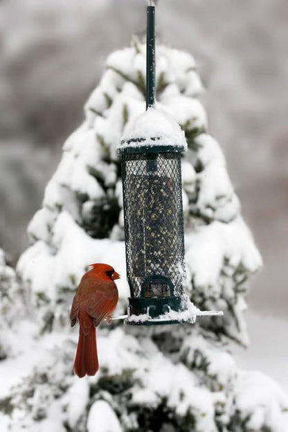 Squirrel Buster Mini Squirrel-Proof Bird Feeder for Wild Birds – 4 Metal Perches, 1 lb Seed Capacity, Chew-Proof Design, Lifetime Care, Garden Green