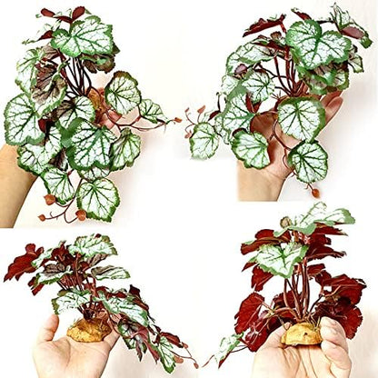 Woyrise Artificial Reptile Plants for Terrarium, Habitat Decor, Fake Plant