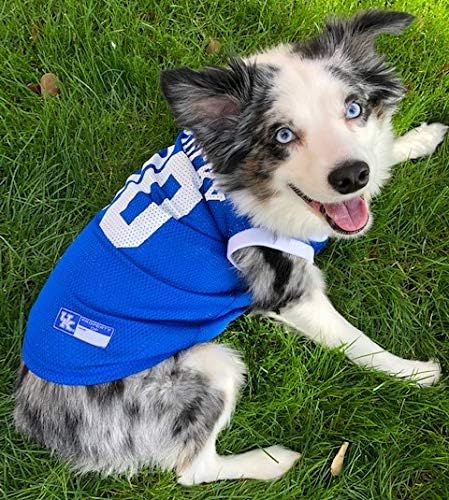 Pets First NCAA Basketball Pet Jersey KENTUCKY WILDCATS Dog Jersey, XX-Large (KY-4020-XXL)