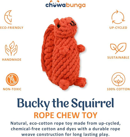 Bucky The Squirrel Dog Toy Handmade Eco Cotton Rope Squirrel Toy for Dogs - Natural, Non-Toxic Dyes, Dog Chew Toys for Small & Medium Breed Dogs, Cats (Large)