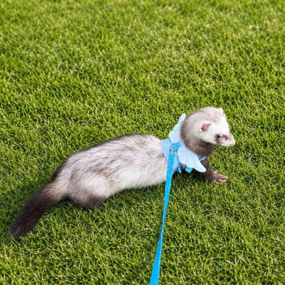 Ferret Harness and Leash Set for Adult Ferrets, Cute Angel Wing Small Animal Vest Harness, Adjustable for Ferrets Kittens Mini Dogs Blue1536-2