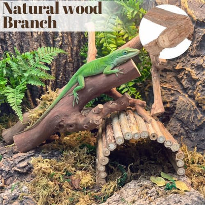 Layhit 5 Pcs Snake Climbing Branch Ring Reptile Wood Trunk Tank Decor Reptile Climbing Habitat Accessory for Terrarium Tree Trunk Ornament Gecko Frog Chameleon Spider