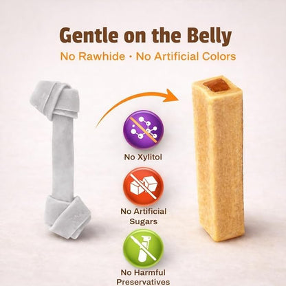 Pet Naturals BusyButter Balanced Belly Peanut Butter Bones, Rawhide-Free Chews for Medium/Large Dogs, Long Lasting Chew Bones, Probiotics and Pumpkin for Gut Health, 4 Count
