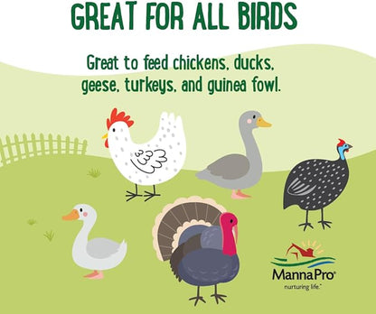 Farmhouse Favorites Dried Mealworms for Chickens, 5 lb, Chicken Treats, Meal Worm, 100% Natural Bird Food for Hens, Turkeys, Geese, Guinea Fowl, Duck Food, Poultry Scratch, Meal Worms for Wild Birds