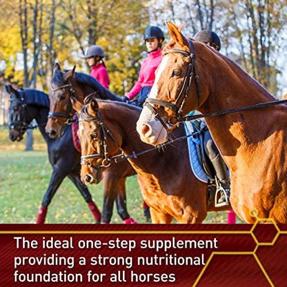 Vita Flex Pro Accel Health & Wellness, Horse Supplement, 240-Day Supply