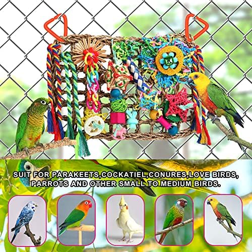 Foraging Toys for Parakeets Cockatiel Conures Lovebirds - Seagrass Wall with Various Bird Toys