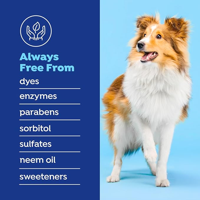 Naturél Promise Fresh Dental Breath Freshener & Teeth Cleaning Water Additive for Dogs, 18 oz Bottle