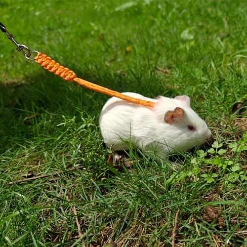 Handmade Figure 8 Harness and Leash for Ferrets/Guinea Pigs/Rats