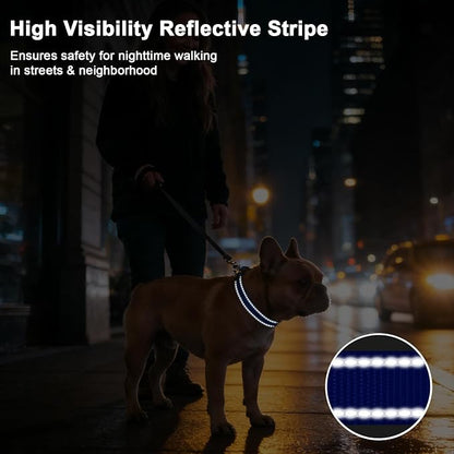 Taglory AirTag Dog Collar with Waterproof Holder for Medium Dogs, Navy Blue | Reflective for Night Walks & Low-Light Safety, Track Your Pup Peace of Mind, Adjustable Soft Padded, No More Dangling Tags M