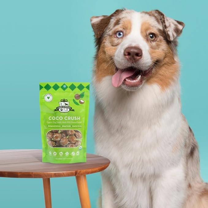 Lord Jameson: Coco Crush 6 oz - Dog Patisserie Treats, Organic Soft & Chewy No-Bake Recipe, PB & Coconut Superfood Bites, Gluten & Preservative Free
