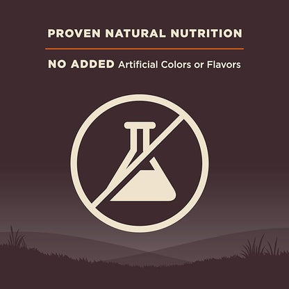 Wellness CORE Adult Dry Dog Food, Grain Free Kibble, Natural, High Protein, Turkey and Chicken Recipe, 4 lb Bag