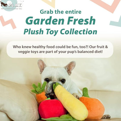 P.L.A.Y. PET LIFESTYLE AND YOU P.L.A.Y. Garden Fresh Plush Dog Toys - Garden Themed Toys, Great for All Dogs, Multiple Sizes