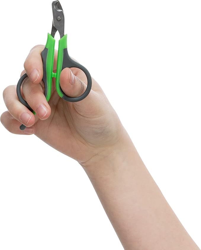 TRIXIE Pet Grooming Nail Clippers, for Small Dogs, Cats, Small Animals, and Birds, 3" (8cm) (Pack of 2)