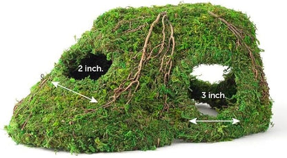 Galápagos (05370) Mossy Sapa Corner Hide - The Perfect Reptile Hide for Security and Comfort - A Natural and Secure Hide for Reptiles, Amphibians, and Invertebrates, L10” x W5.5” x H4.5”