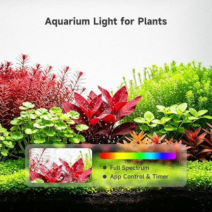 M1 5.3 Gallon Smart Fish Tank, App-Controlled Betta Aquarium Starter Kit