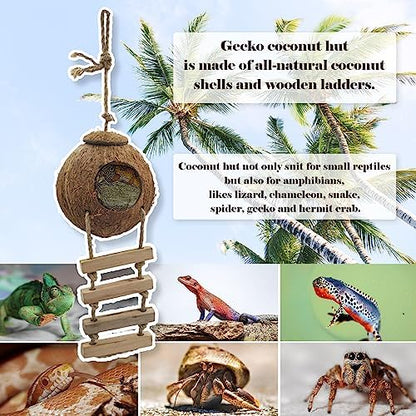 6PCS Crested Gecko Coconut Hut, Lizard Coco Den with Ladder and Reptile Hammock Bearded Dragon Tank Accessories Climbing Hanging Plants Jungle Vine Flexible Reptile Leaves Decor
