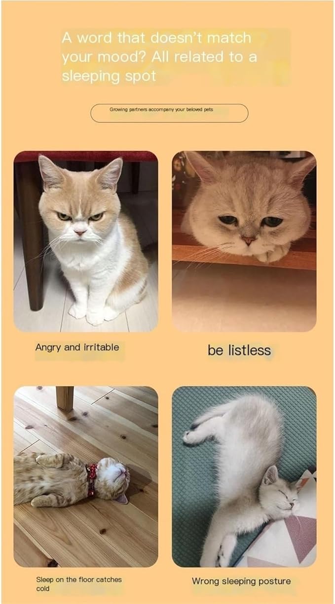 Wooden Pet Bed All Season Detachable Solid Wood Litter Suitable for Cats and Dogs Sturdy(4,Small)