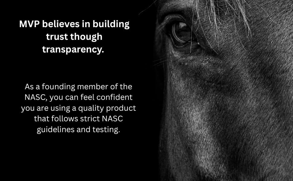 MVP Gastro-Plex Paste Gastric Stress Relief Paste for Horses