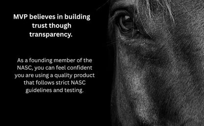 MVP Gastro-Plex Paste Gastric Stress Relief Paste for Horses