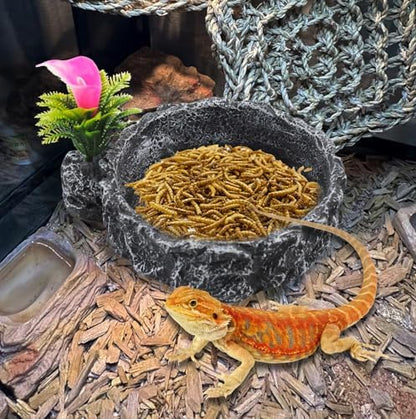 Reptile Food Dish,Rock Reptile Terrariums Water Dish, Water and Food Bowls Lizard Water Bowl for Leopard Gecko, Tree Frog, Snake, Crested Gecko, Frog